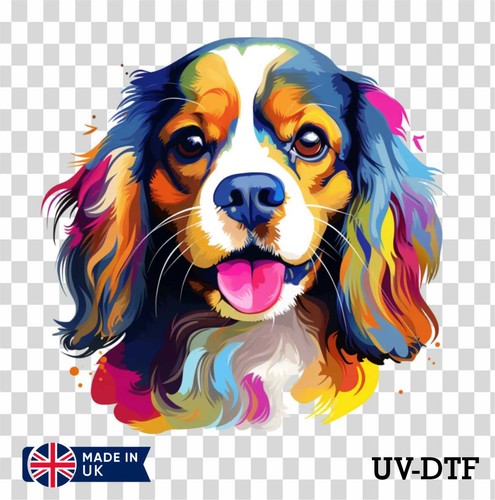 Adesivo cavalier king - adesivo, charles
