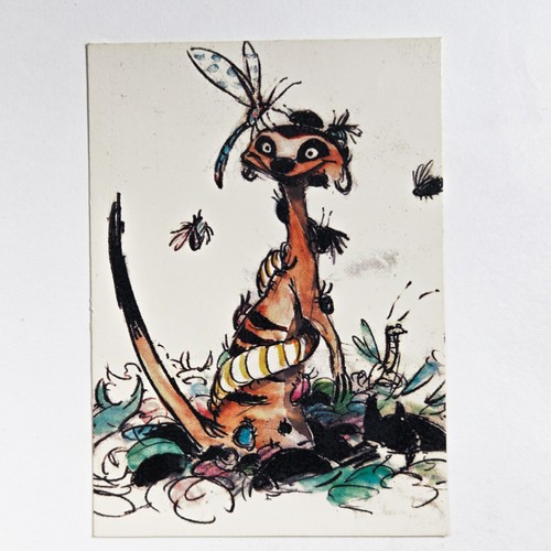 Jb21 disney leone - jb21,